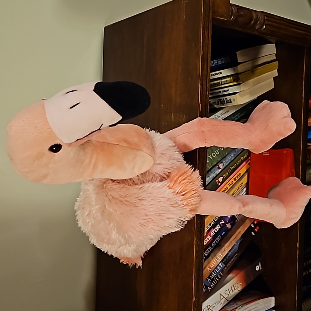 Flamingo